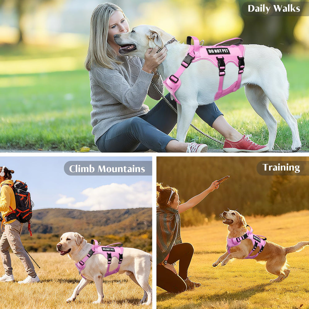 WINSEE back-attachment metal D-ring for reliable leash connection