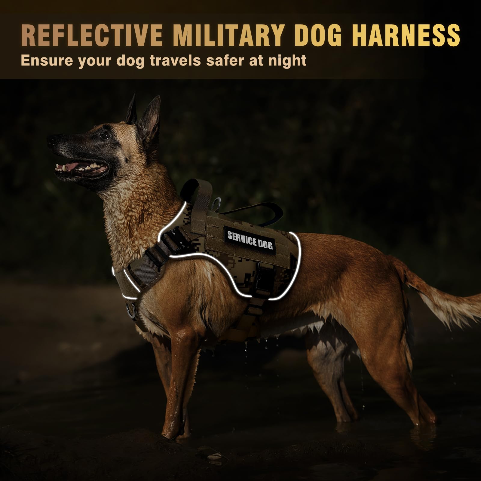 MOLLE system on WINSEE vest supports pouches and water bottles for outdoor activity