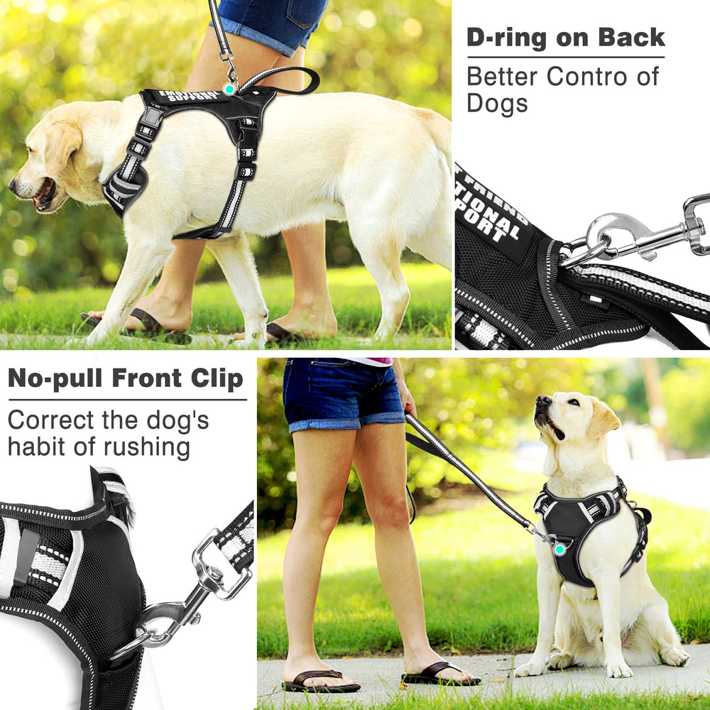 WINSEE padded front handle enables quick, safe restraint during training