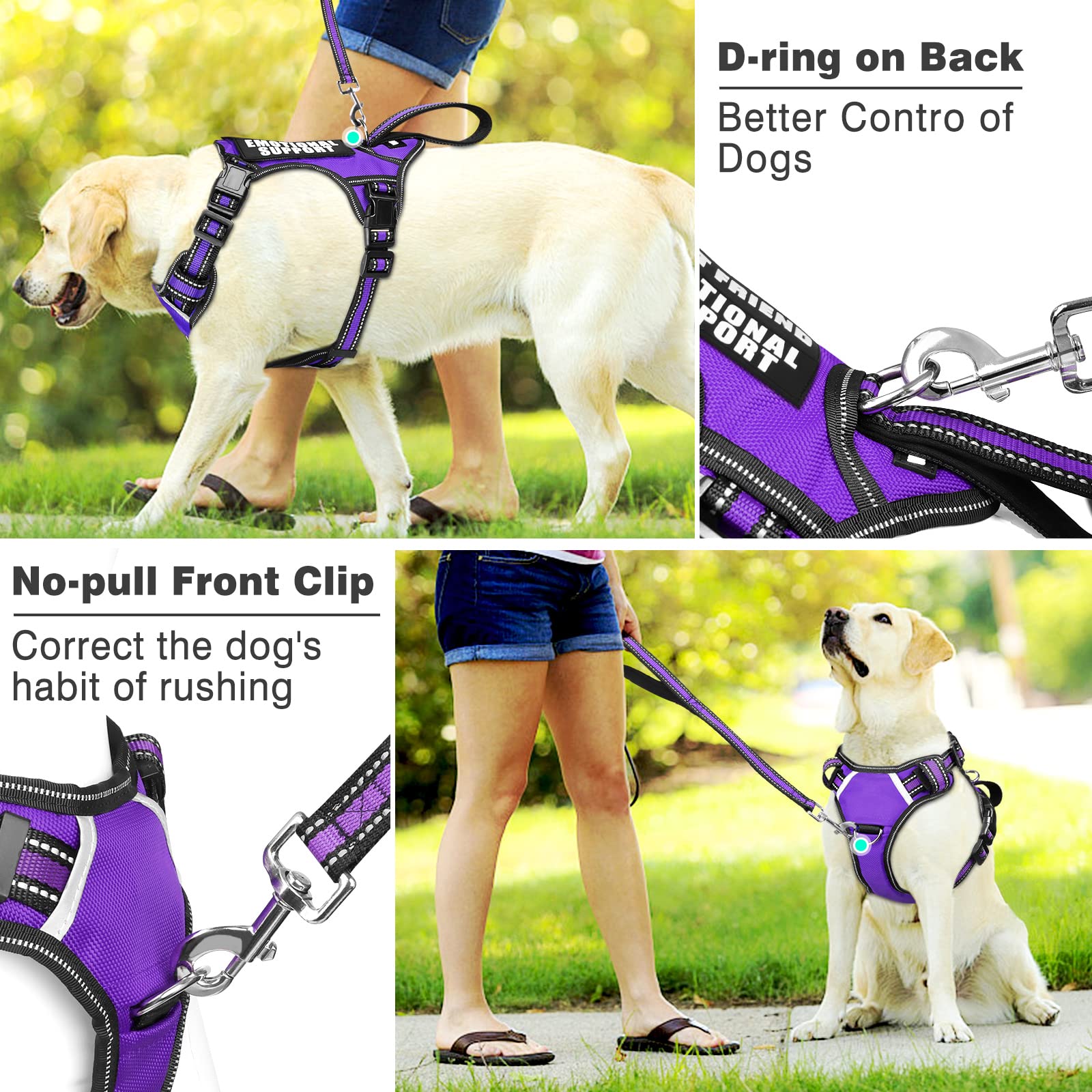 WINSEE padded handle with dual D-rings for comfortable control during walks