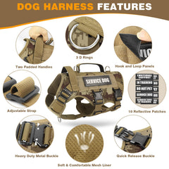 WINSEE patches detail shows 10 included morale patches for customization