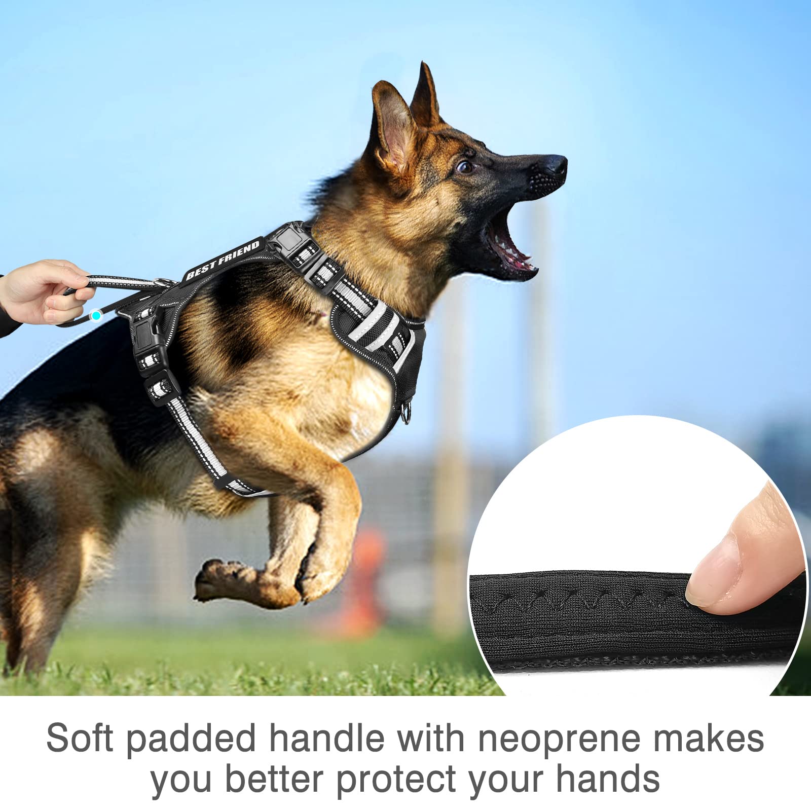 WINSEE patches set includes service-dog badges for clear messaging