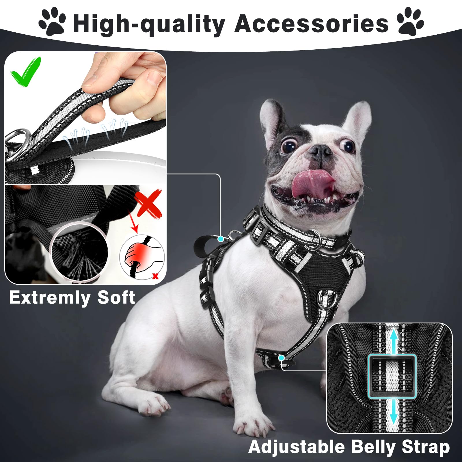 WINSEE reflective collar back view highlights high visibility for evening strolls