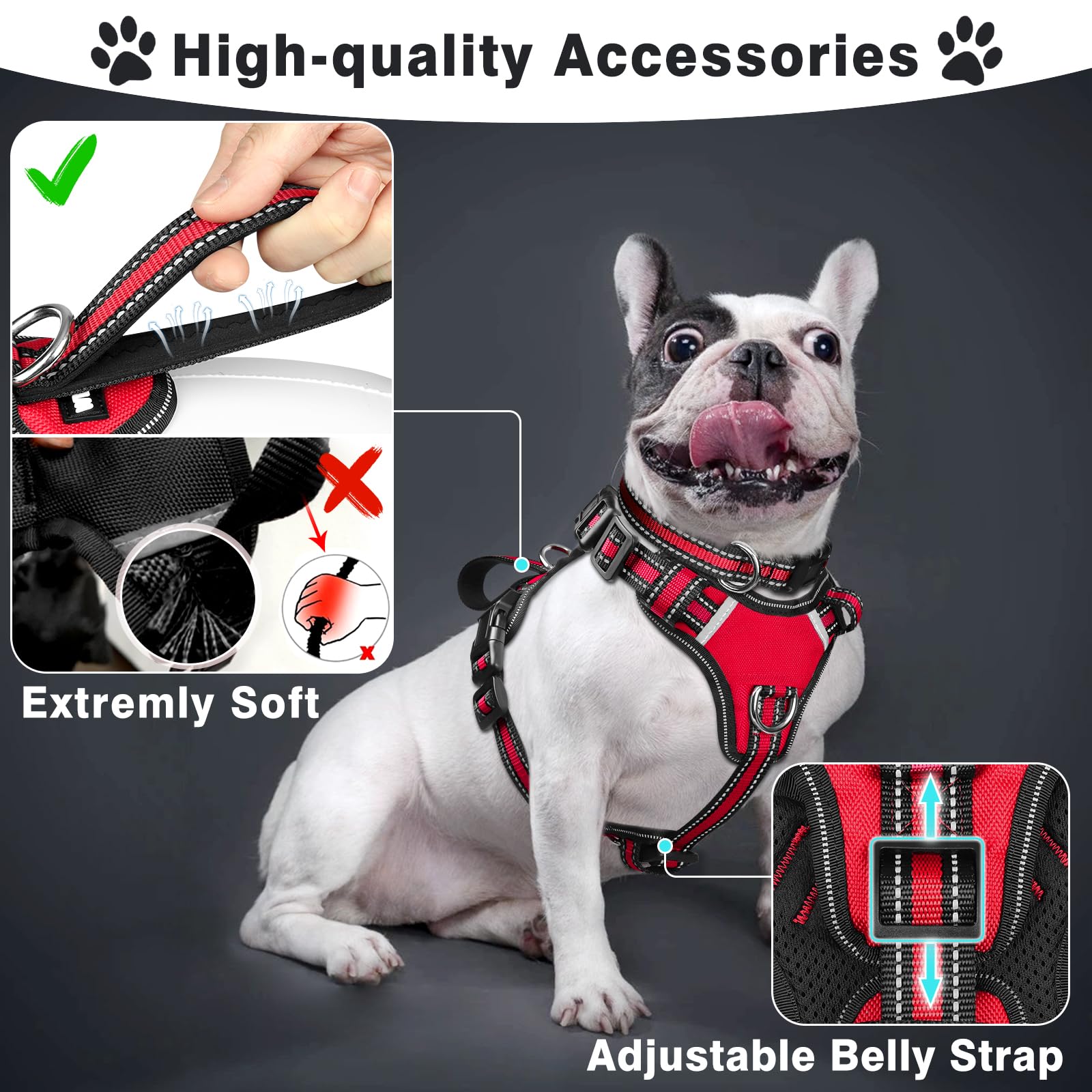 WINSEE reflective collar in nylon increases visibility for early morning strolls