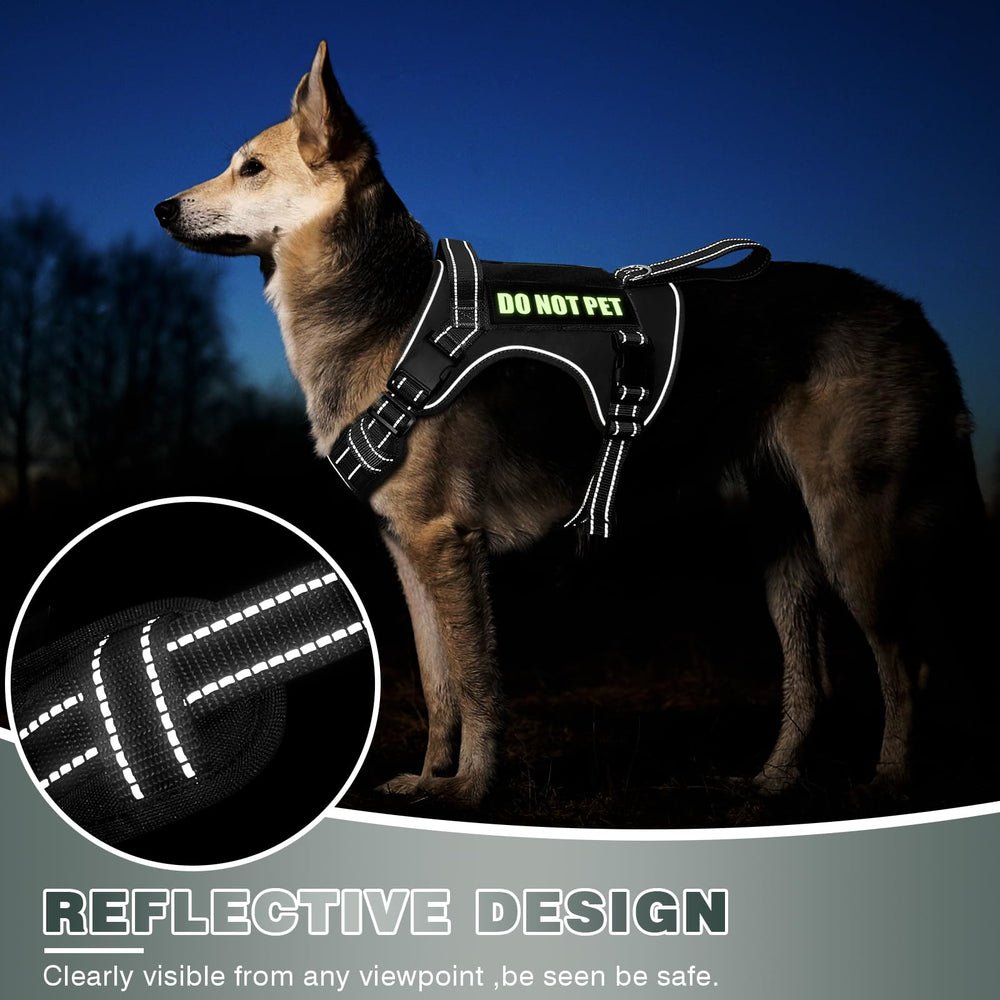 WINSEE reflective nylon harness for high visibility during dawn walks