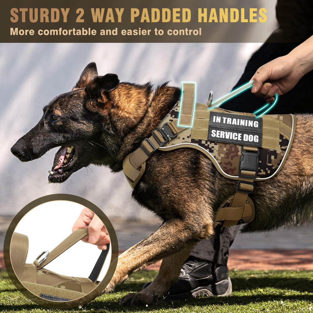 Reflective strip on WINSEE harness enhances nighttime visibility during walks