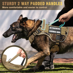 Reflective strip on WINSEE harness enhances nighttime visibility during walks