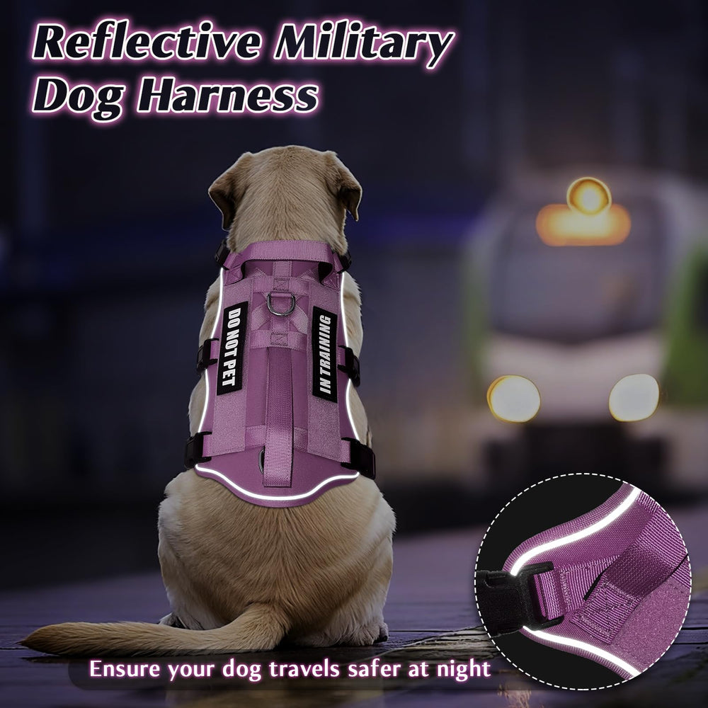 WINSEE harness with bright reflective strips for safety at night