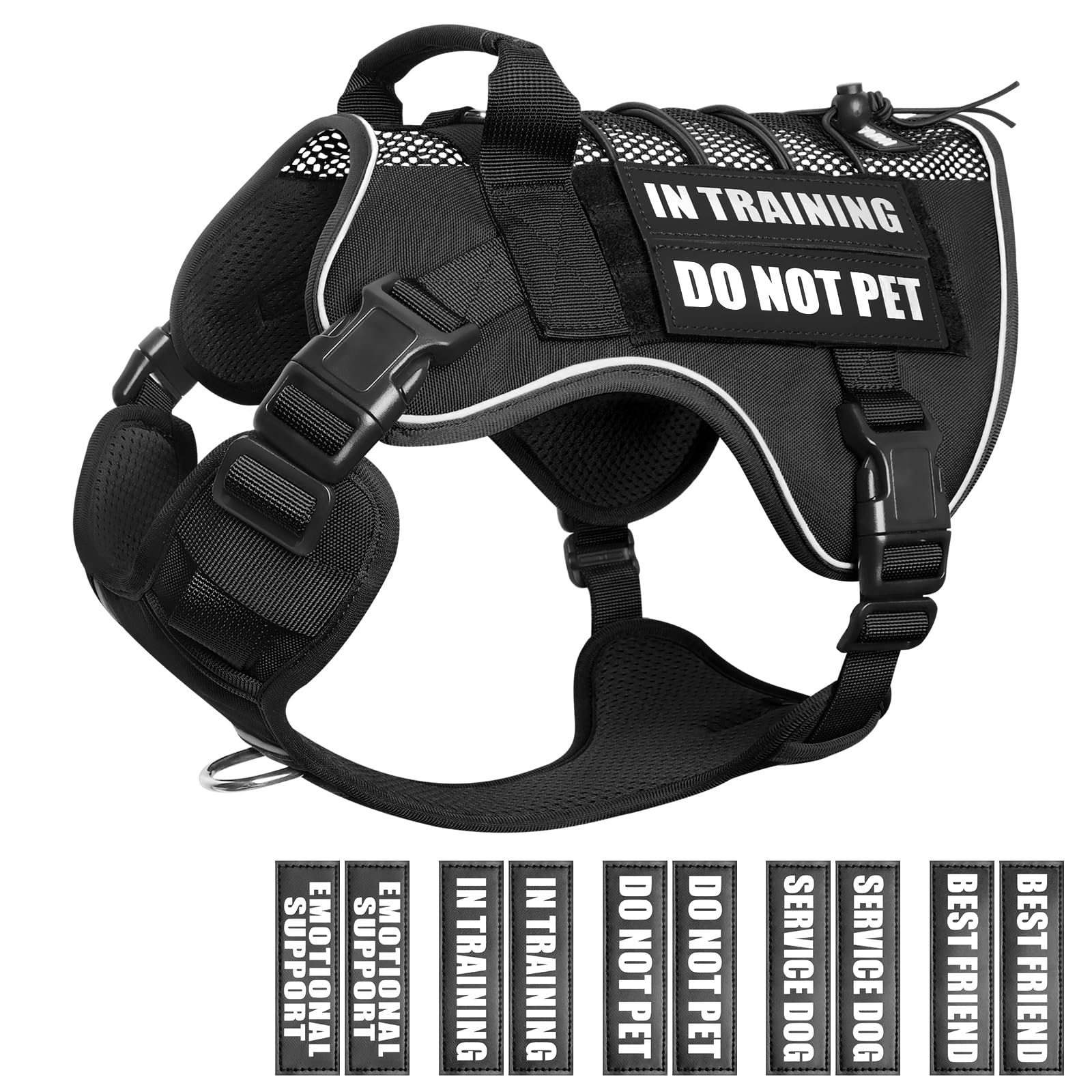 WINSEE service dog in training mesh harness with patches for clear role labeling.