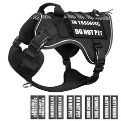WINSEE service dog in training mesh harness with patches for clear role labeling.