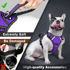 WINSEE service dog vest back D-rings enabling secure leash attachment during training sessions