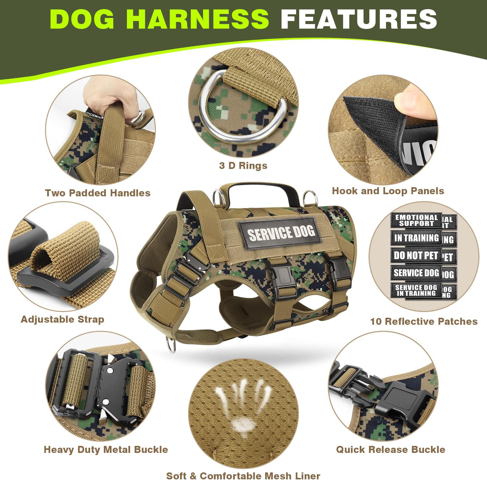 WINSEE vest with three D-rings enables versatile leash attachment options