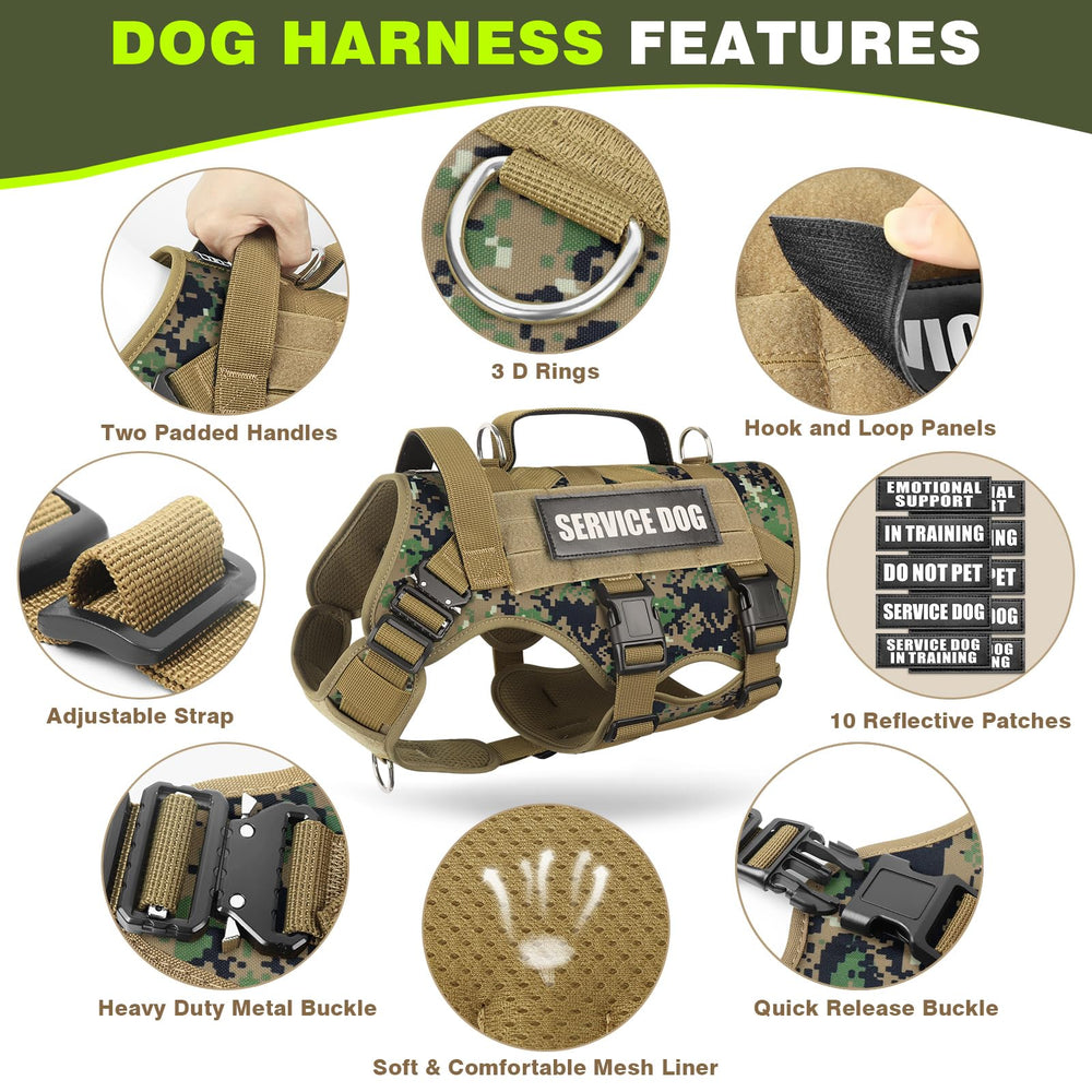WINSEE vest with three D-rings enables versatile leash attachment options
