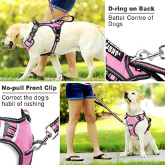WINSEE front padded handle for quick control in crowded areas