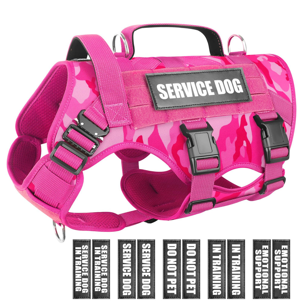 WINSEE service dog vest front view with MOLLE panels for patch customization and training readiness.