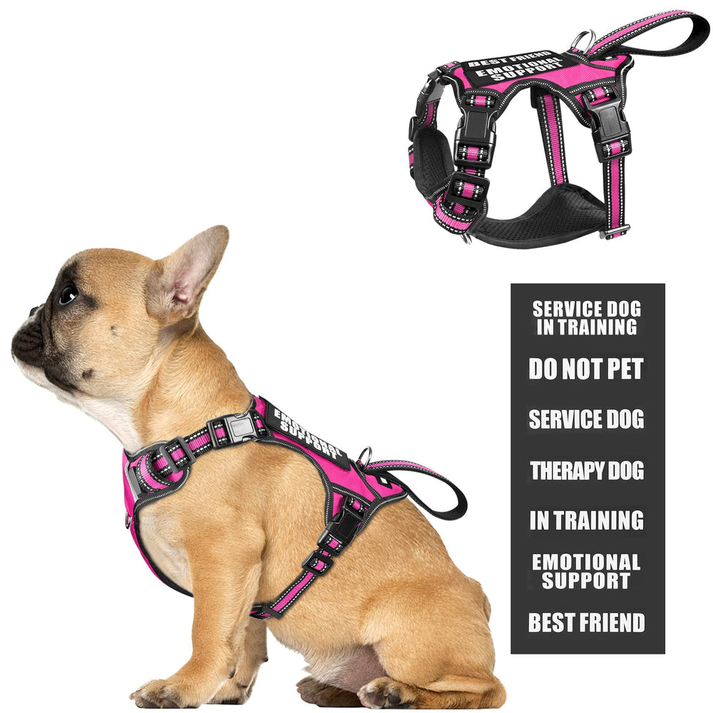 WINSEE service dog vest front view with patches enhances visibility and quick identification.