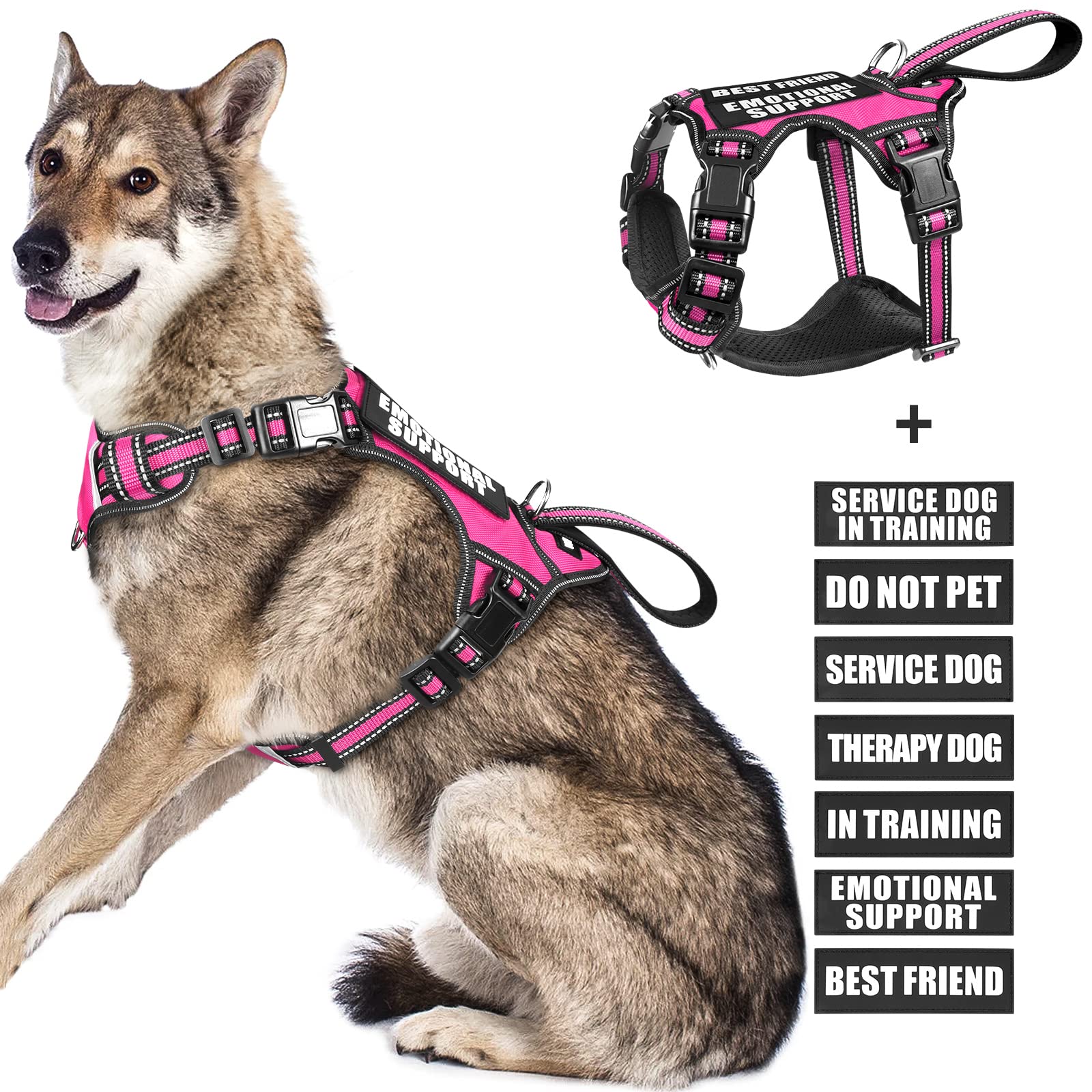 WINSEE service dog vest front view with front leash clip for easier control