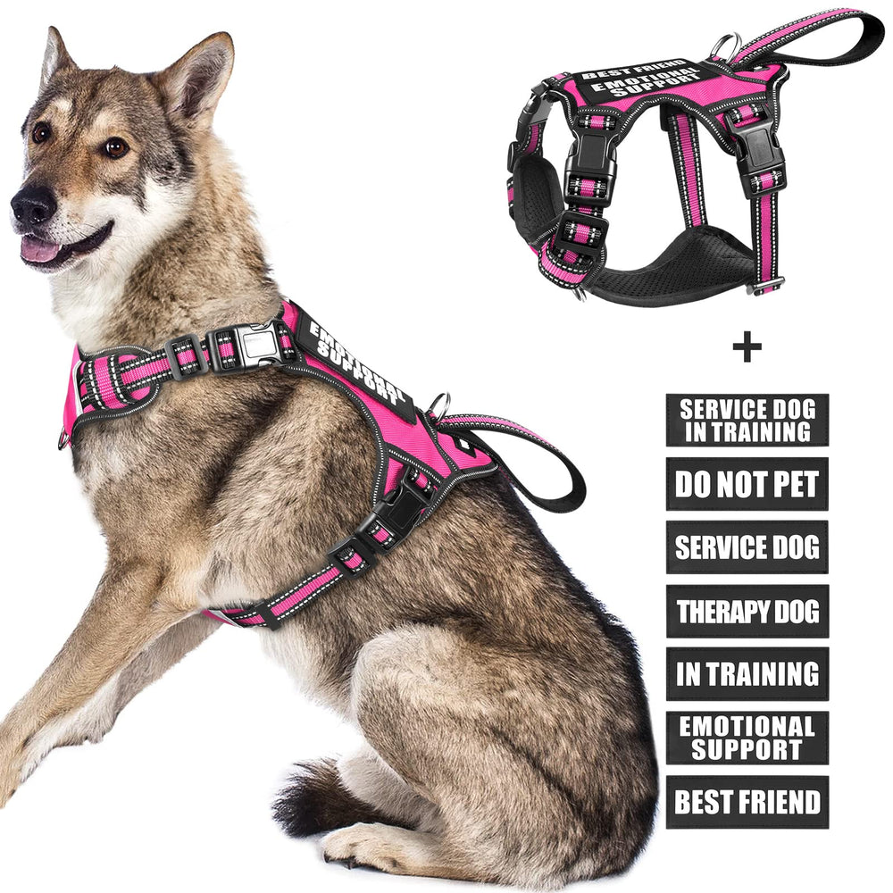WINSEE service dog vest front view with front leash clip for easier control