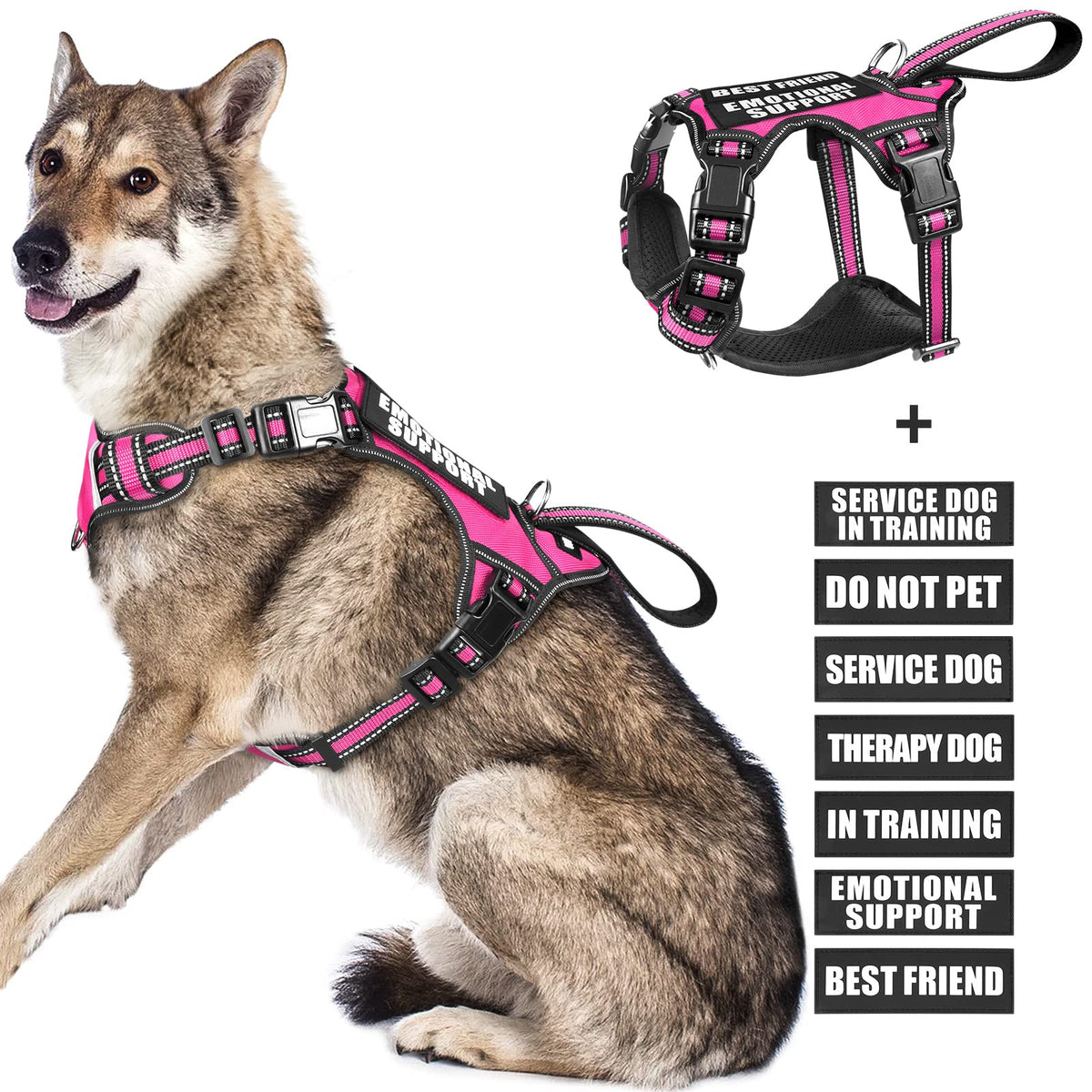 WINSEE service dog vest front view with front leash clip for easier control
