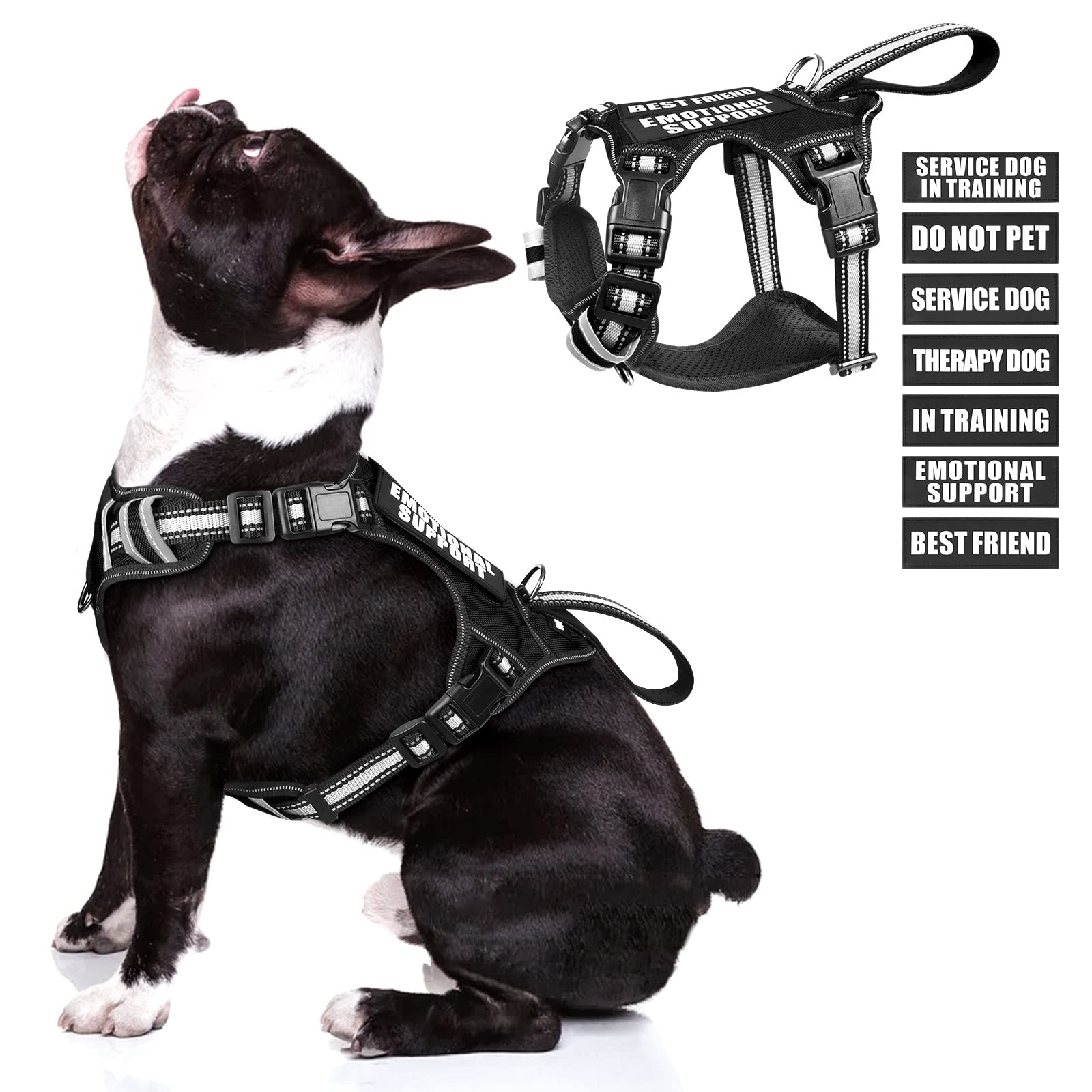WINSEE service dog vest front view highlights no-pull design for safer walks