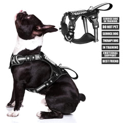 WINSEE service dog vest front view highlights no-pull design for safer walks