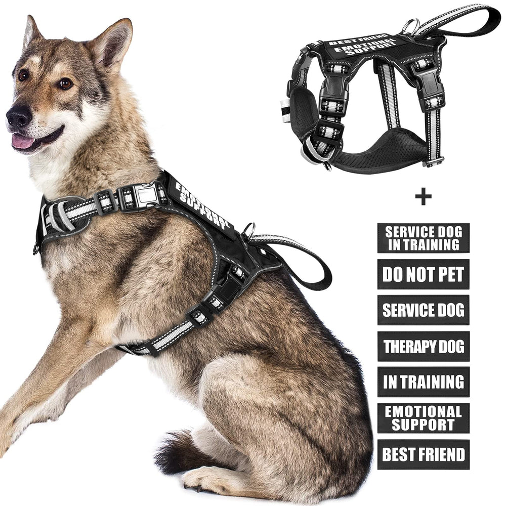 WINSEE service dog vest front view shows no-pull design for safer leash control.