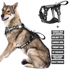 WINSEE service dog vest front view shows no-pull design for safer leash control.