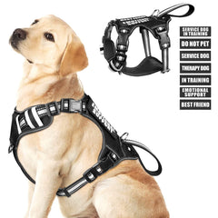 WINSEE service dog vest front view highlights sturdy construction for reliable training sessions
