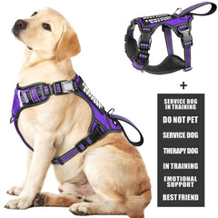 WINSEE service dog vest front view with padded handle for confident control