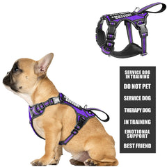 WINSEE service-dog-vest back view with padded handle for secure control on walks