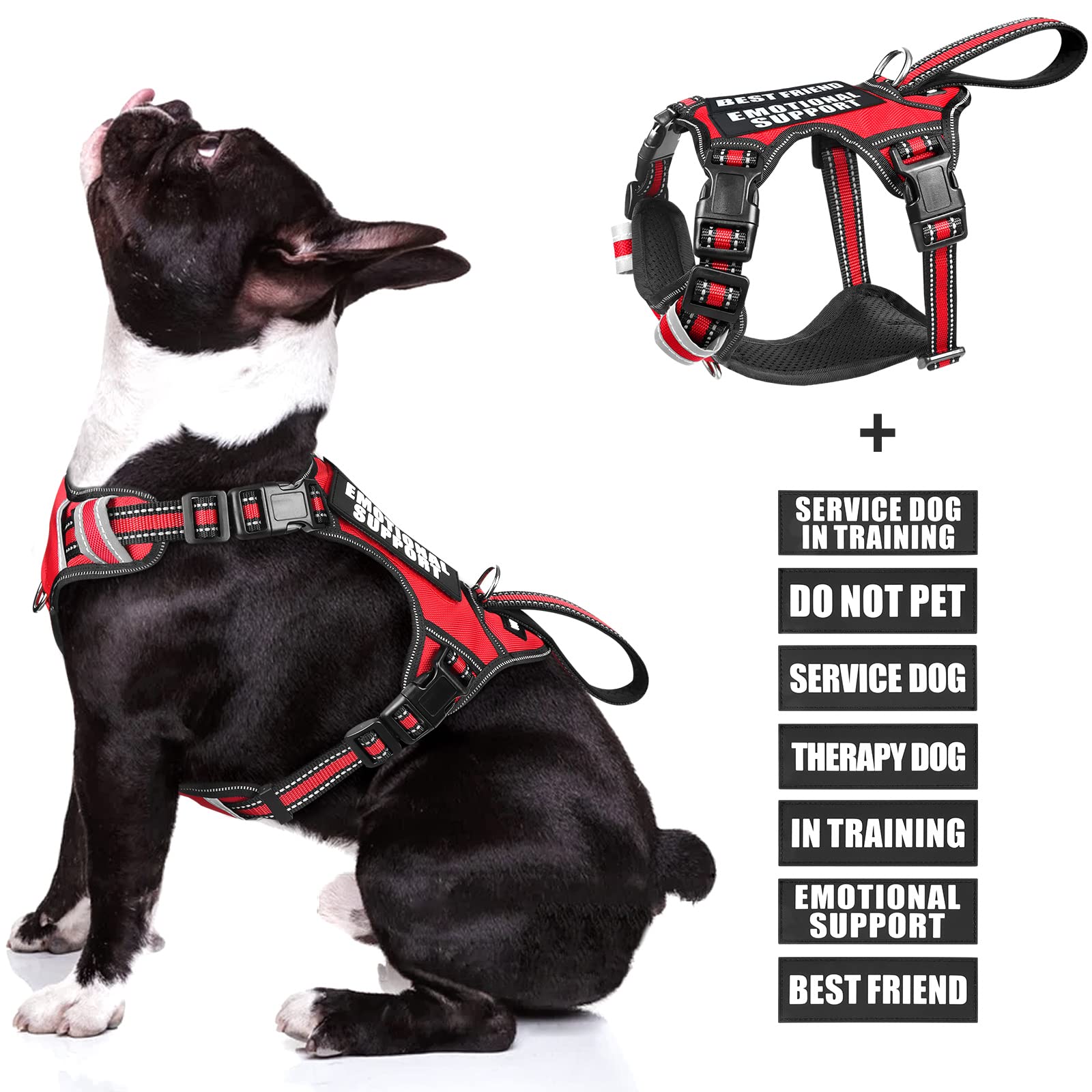 WINSEE service dog vest shows front no-pull clip for training control