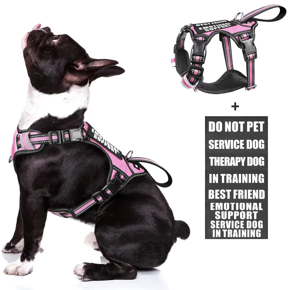 WINSEE service dog vest front view highlights no-pull design for safer leash guidance