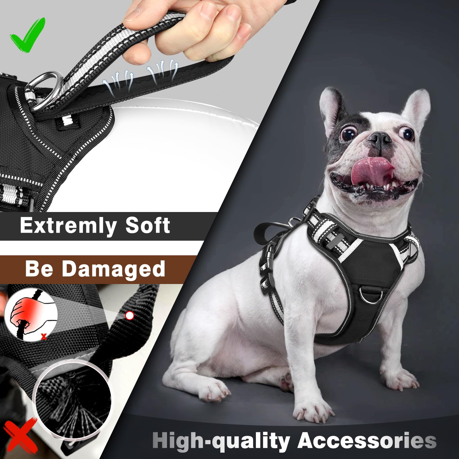 WINSEE service dog vest back view highlights sturdy leash clip for control