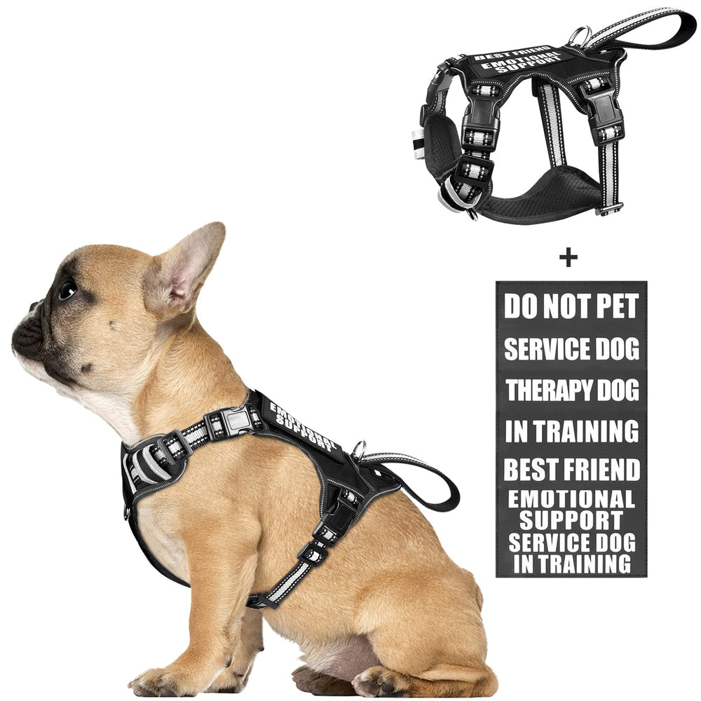 WINSEE service dog vest front view shows no-pull design for safer walking