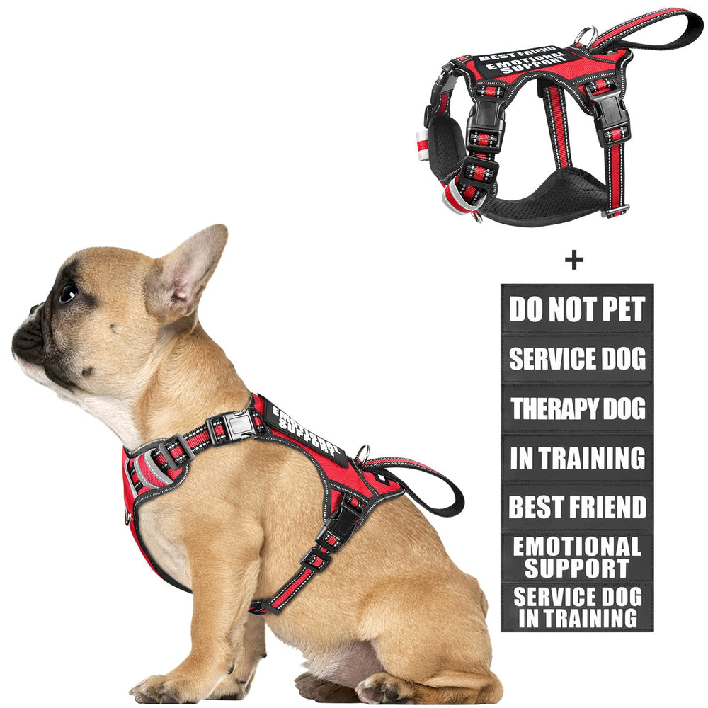 WINSEE service dog vest no-pull harness with durable straps for comfortable control.
