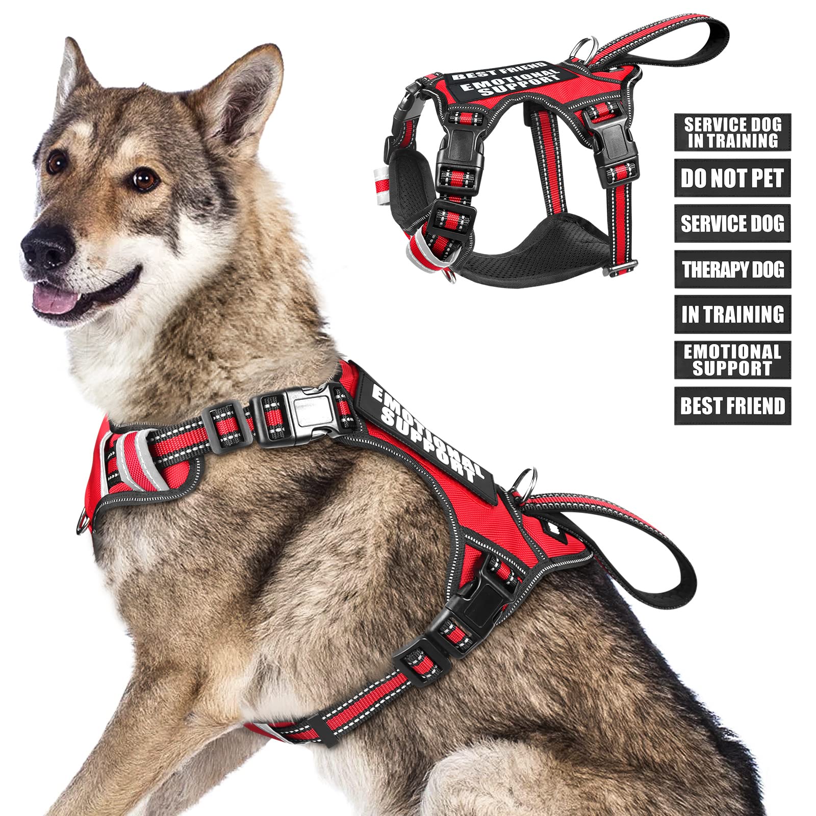 WINSEE service dog vest patches shown for easy signaling and customization during training.
