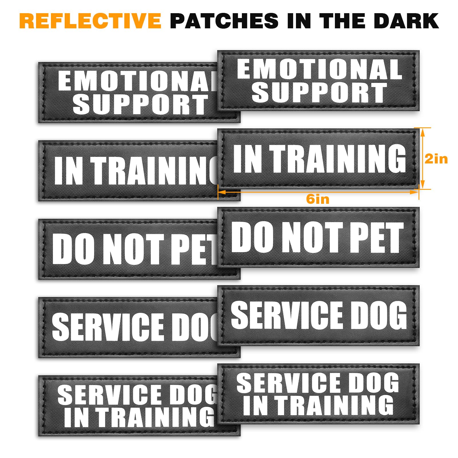 WINSEE patches included showcase service status and training progress at a glance