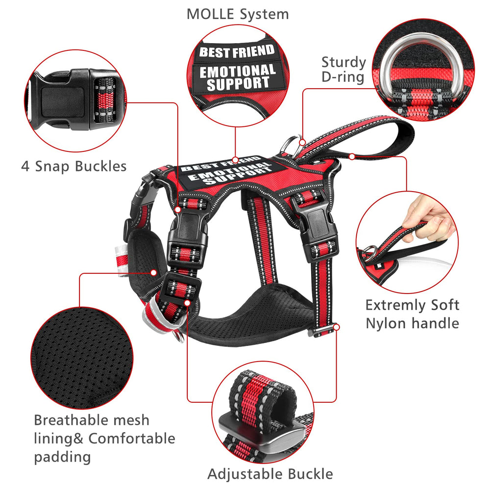 WINSEE patches set on vest demonstrating signaling and training cues for dogs.