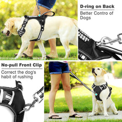 WINSEE reinforced D-rings image emphasizes durability under heavy tension
