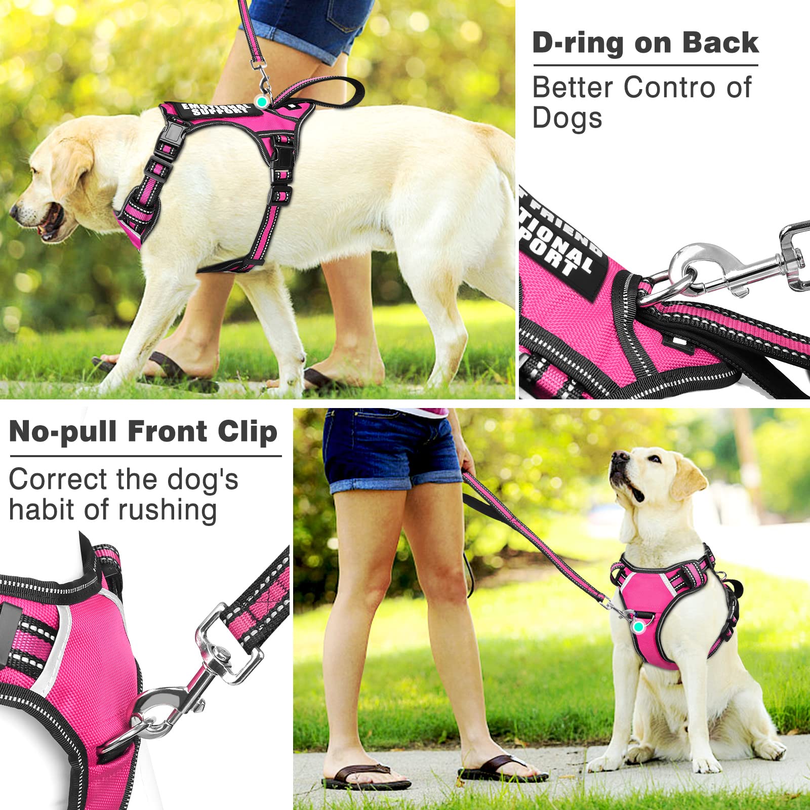 WINSEE service dog vest size chart covers small to XL for many breeds and ages.