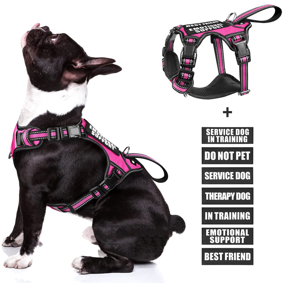 WINSEE service dog vest with patches signals role clearly during outings