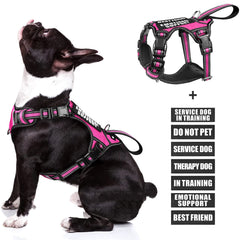 WINSEE service dog vest with patches signals role clearly during outings