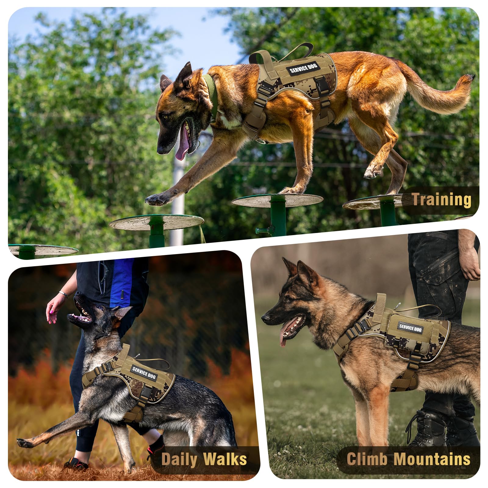 Size chart guidance on WINSEE provides proper fit for medium breeds