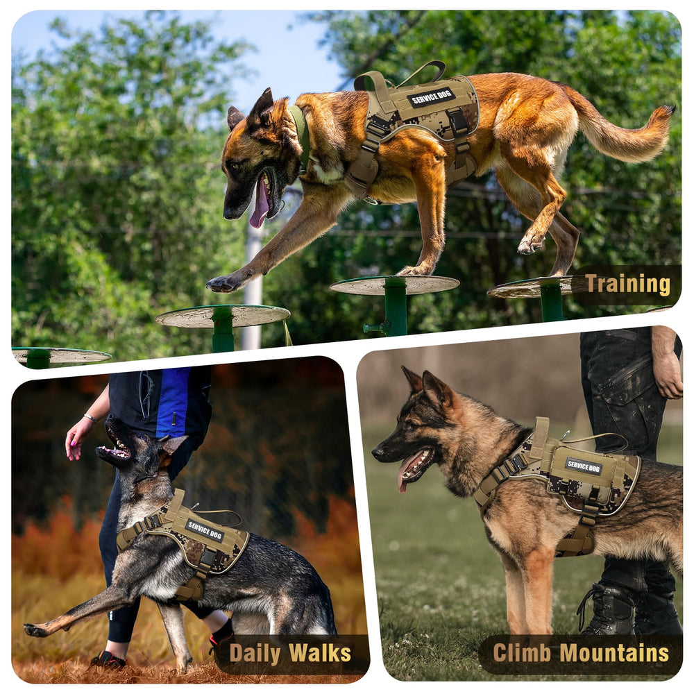 Size chart guidance on WINSEE provides proper fit for medium breeds