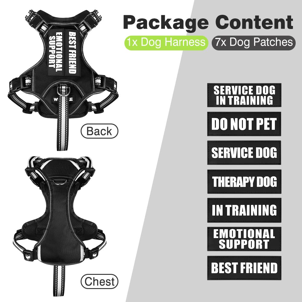 WINSEE size range from small to XL fits dogs 25–140 lbs