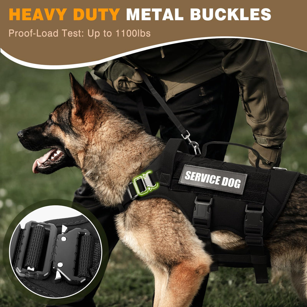 WINSEE tactical harness back view highlights secure load distribution