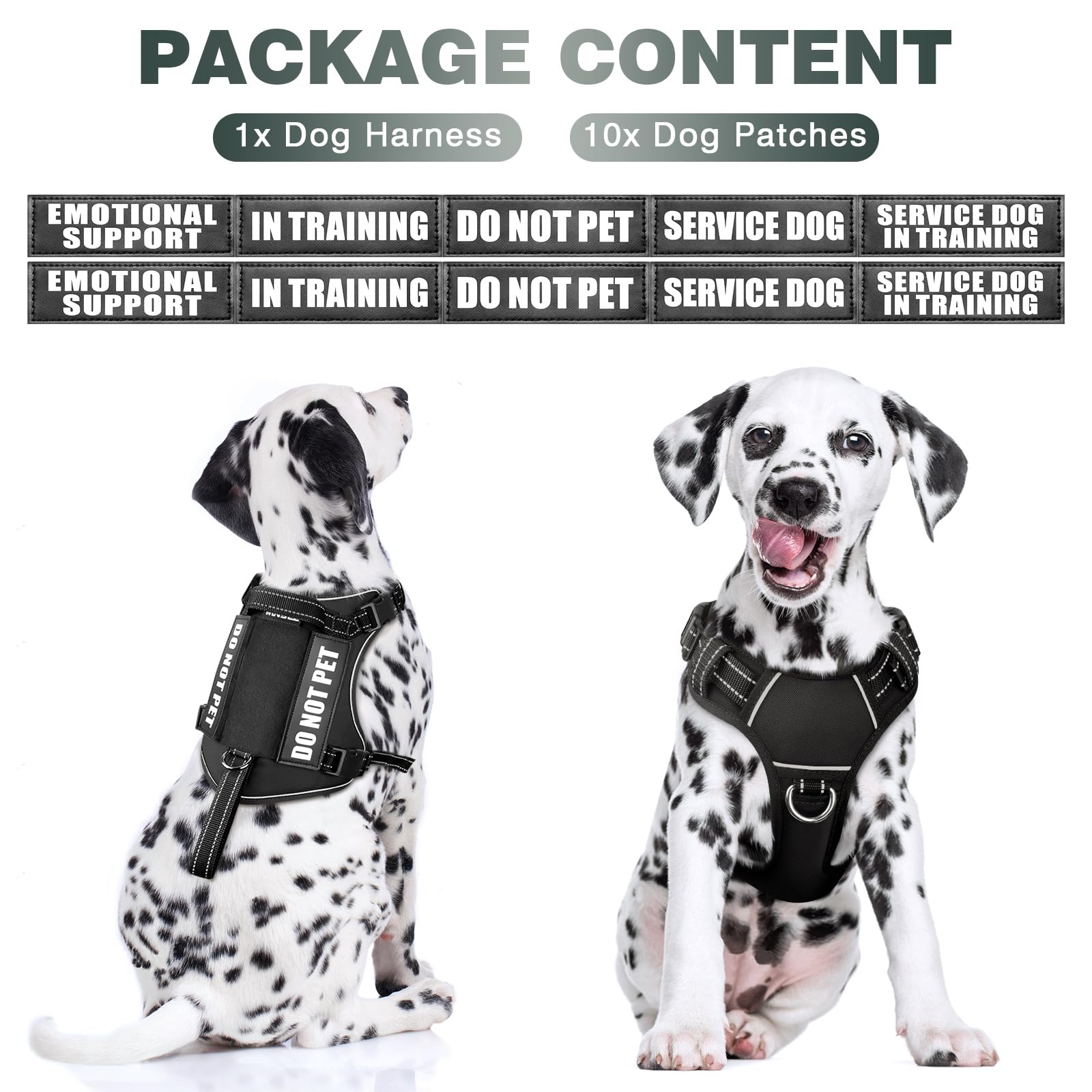 WINSEE Tactical Dog Harness back view shows dual leash rings for versatile attaching options