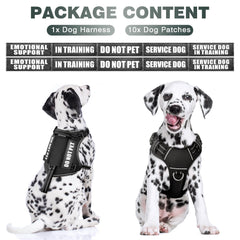 WINSEE Tactical Dog Harness back view shows dual leash rings for versatile attaching options