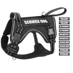 WINSEE tactical dog harness front view with quick-release buckles and front handle for safer training and control