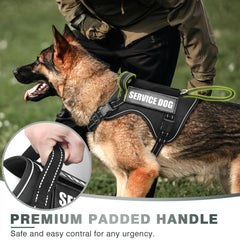WINSEE tactical dog harness side view showing MOLLE panels for patches and customization